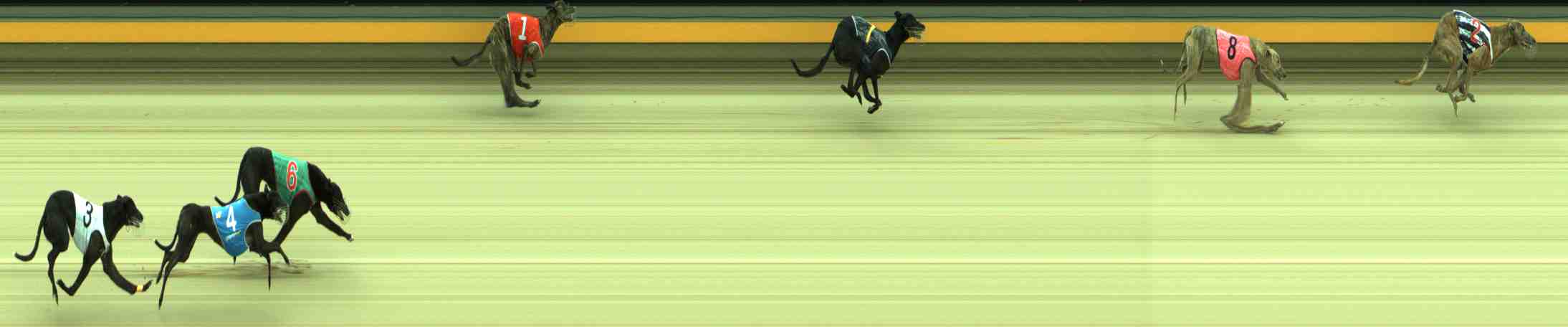 Race result finish photo